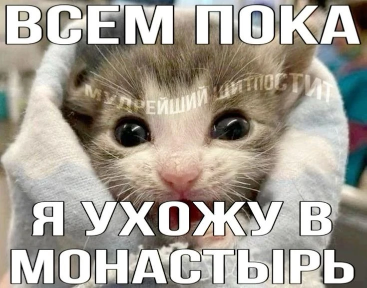 РЫБЫ, 1 октября. Тебя все и все окончательно достали