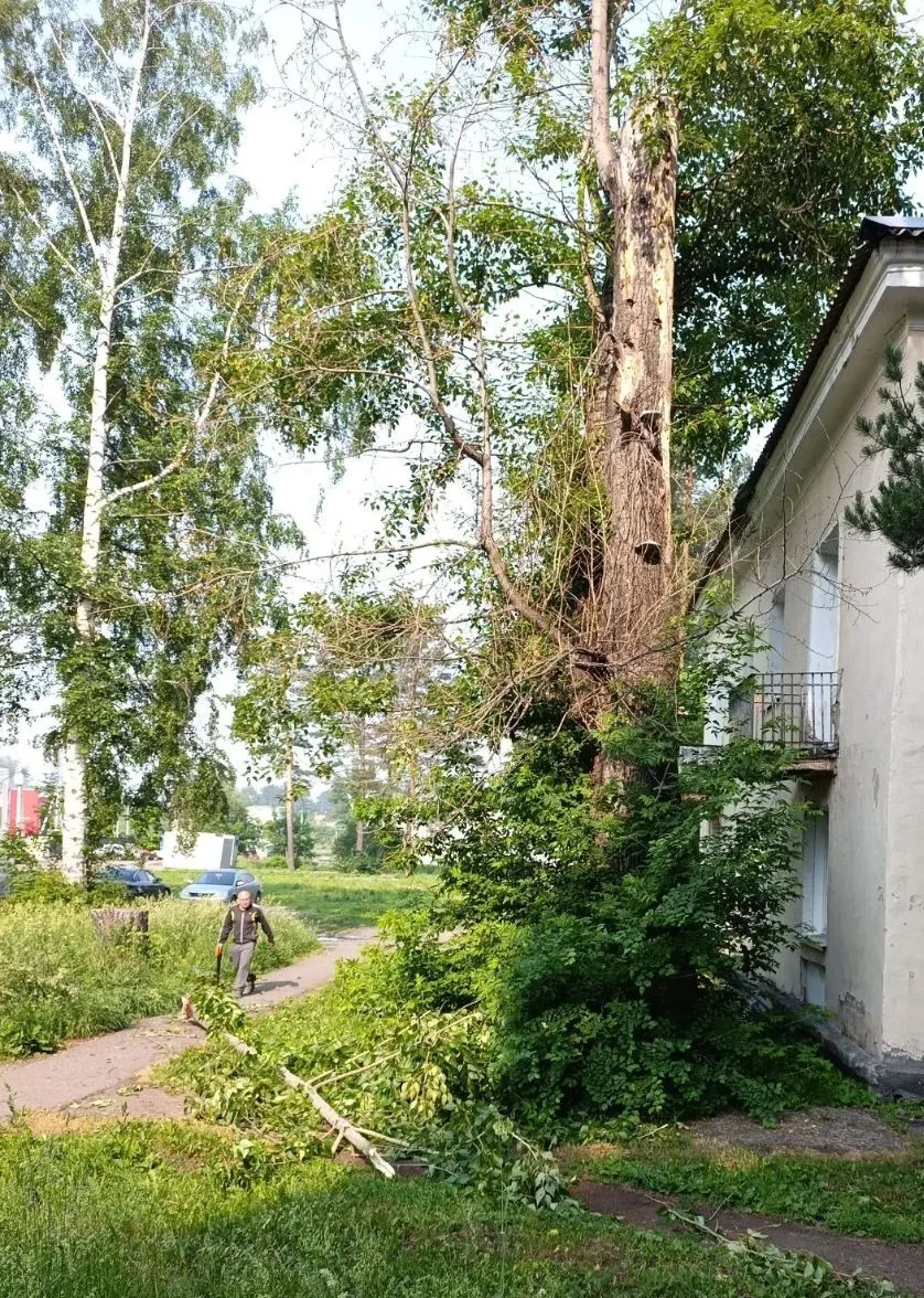 После недавнего
 сильного ветра 🌪️
 во дворе по адресу пр. Мира пришлось устранять последствия — на