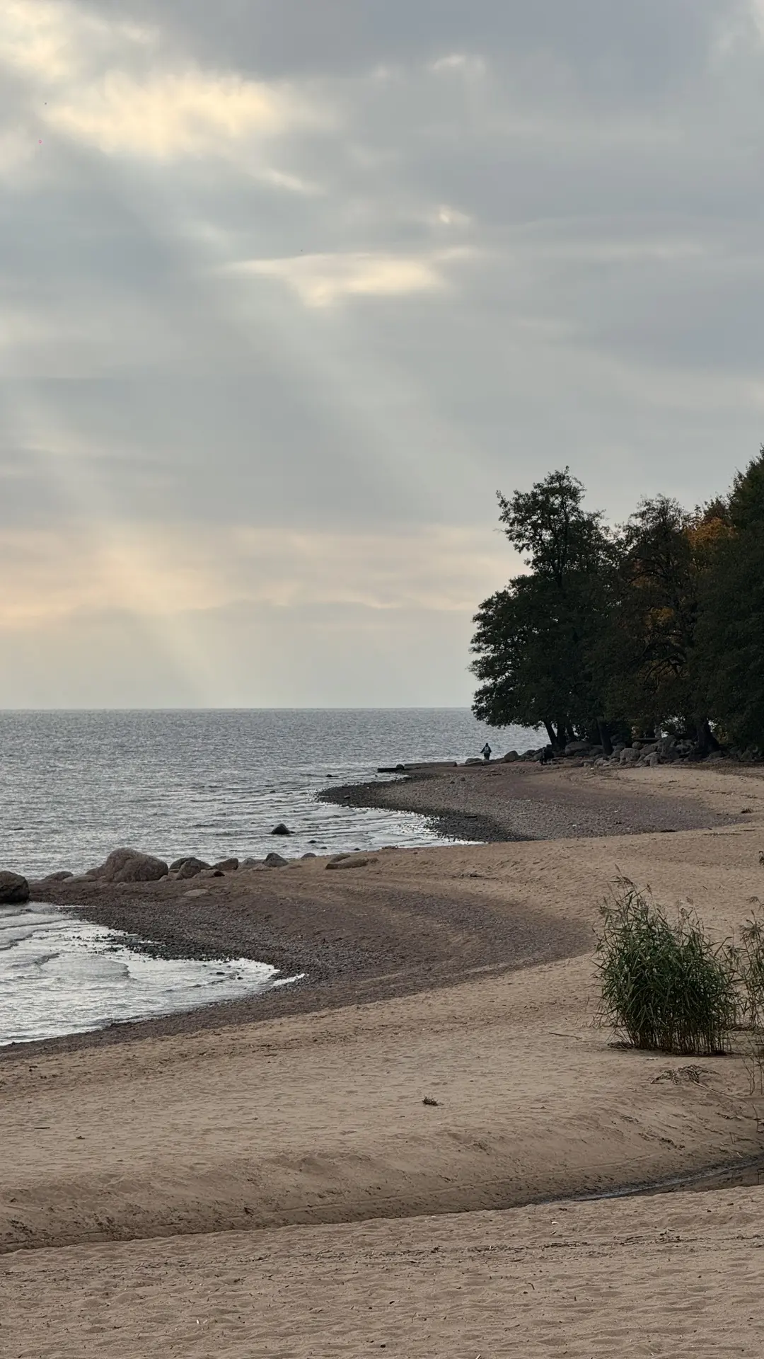 Сегодня были в Репино 🍁