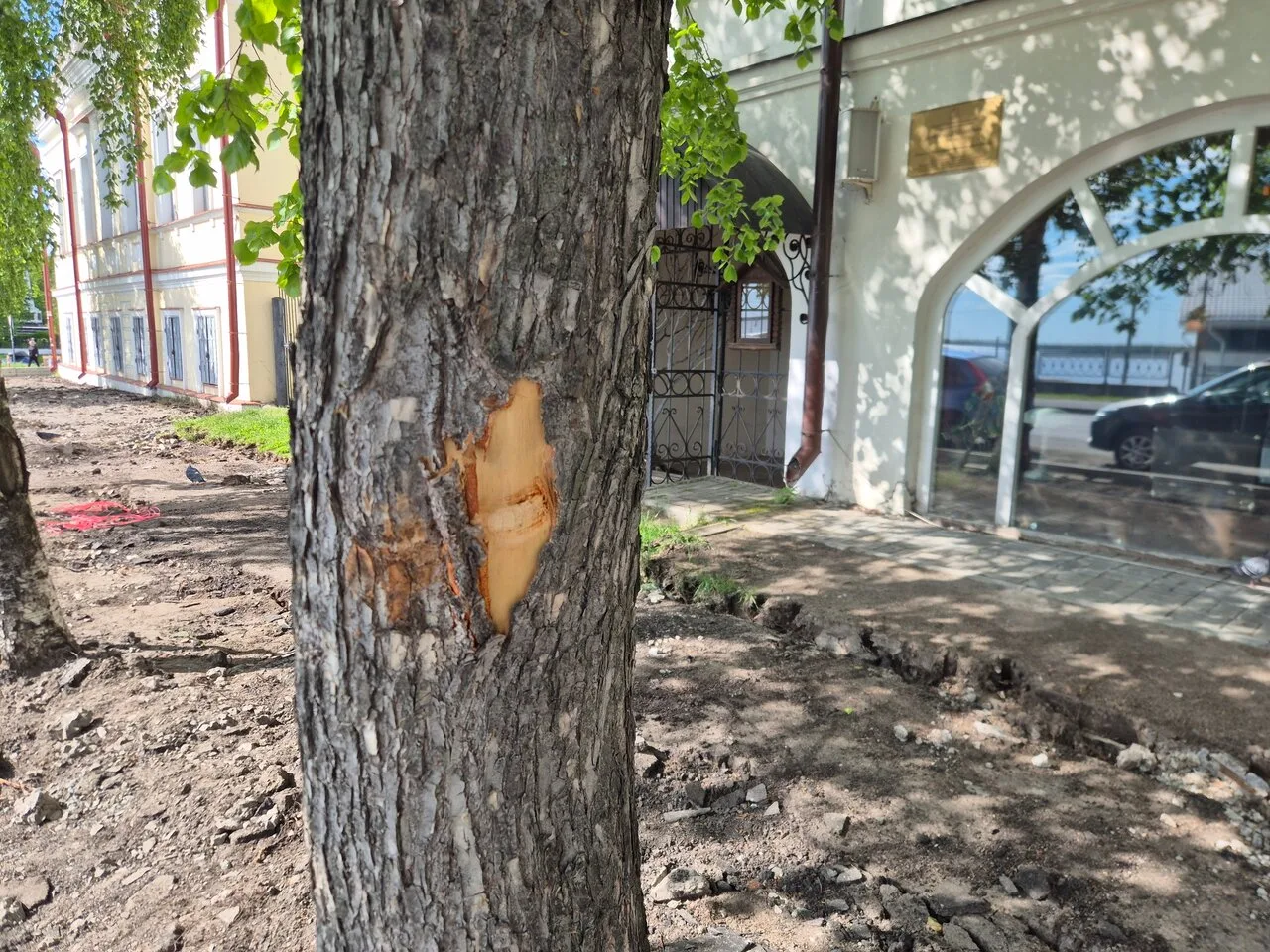 есть вопрос 🤔
‼ НАБЕРЕЖНАЯ, ТРОТУАР ЗА БОЛЬШИЕ ДЕНЬГИ: ЧИНОВНИКИ ПИШУТ «С ЛЮБОВЬЮ», А ДЕРЕВЬЯ СТРАД