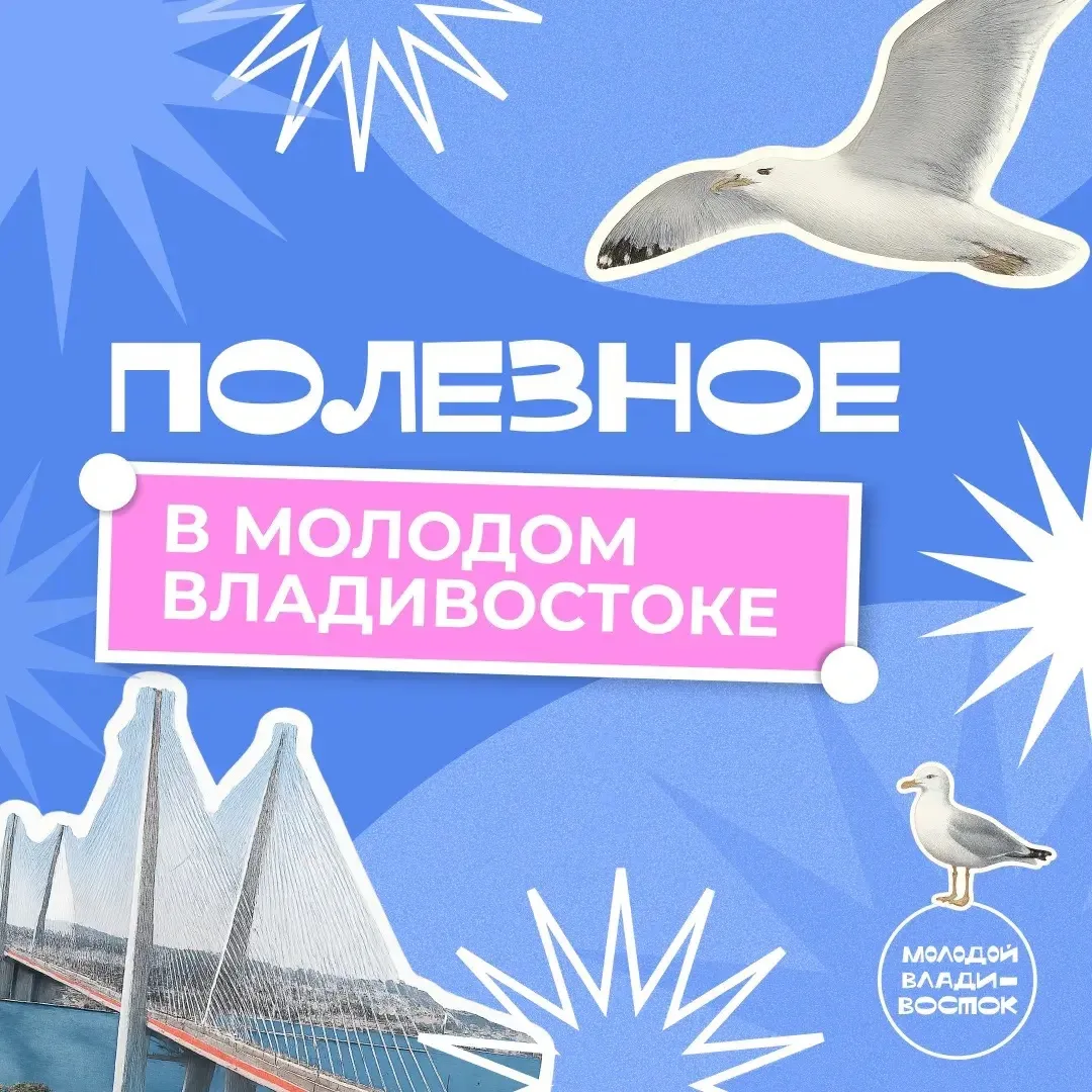 💥ТОП-5 самых актуальных возможностей для молодежи💥