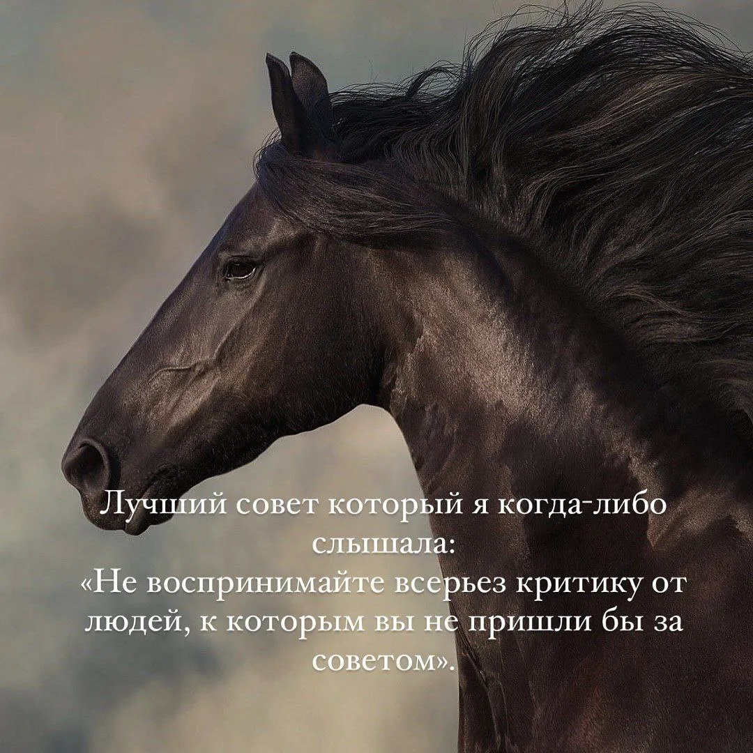 🎯 Мудрость народная ☀️