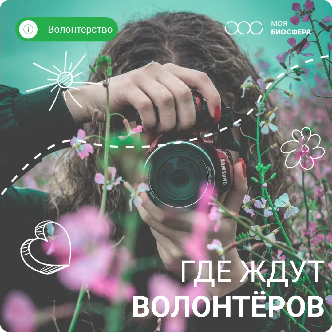 🌷 Хотите, чтобы ваши фото с прогулки попали в науку?