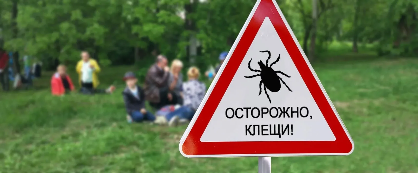 Клещи вышли на охоту: как обезопасить себя на природе?