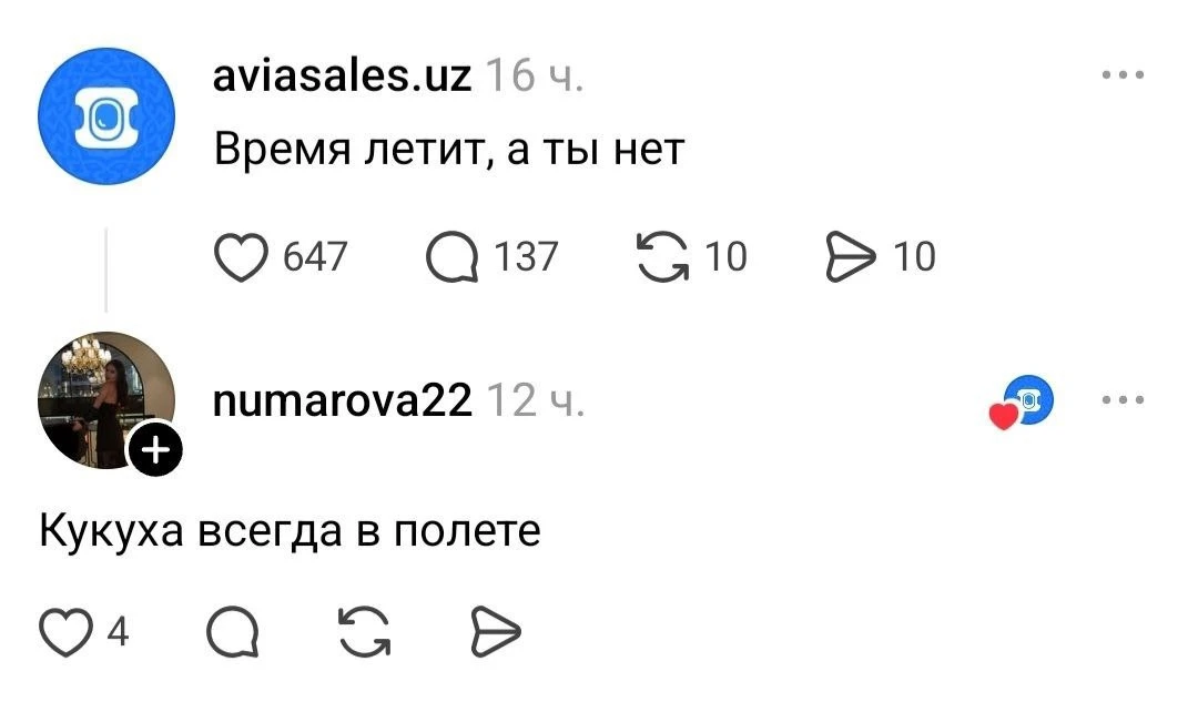 Для тех, кто не может полететь в отпуск, есть бюджетный вариант — полететь кукухой.