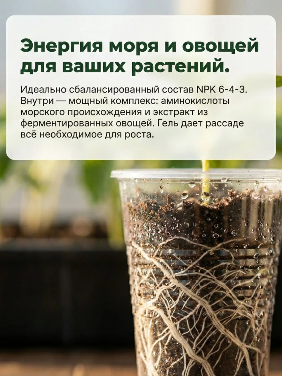 ⚡️ ЭВОЛЮЦИЯ ПОДКОРМОК: РАССАДА БЕЗ ВЫТЯГИВАНИЯ И ГРЯЗНЫХ РУК 🌱  Начинается горячая пора посевов. И м