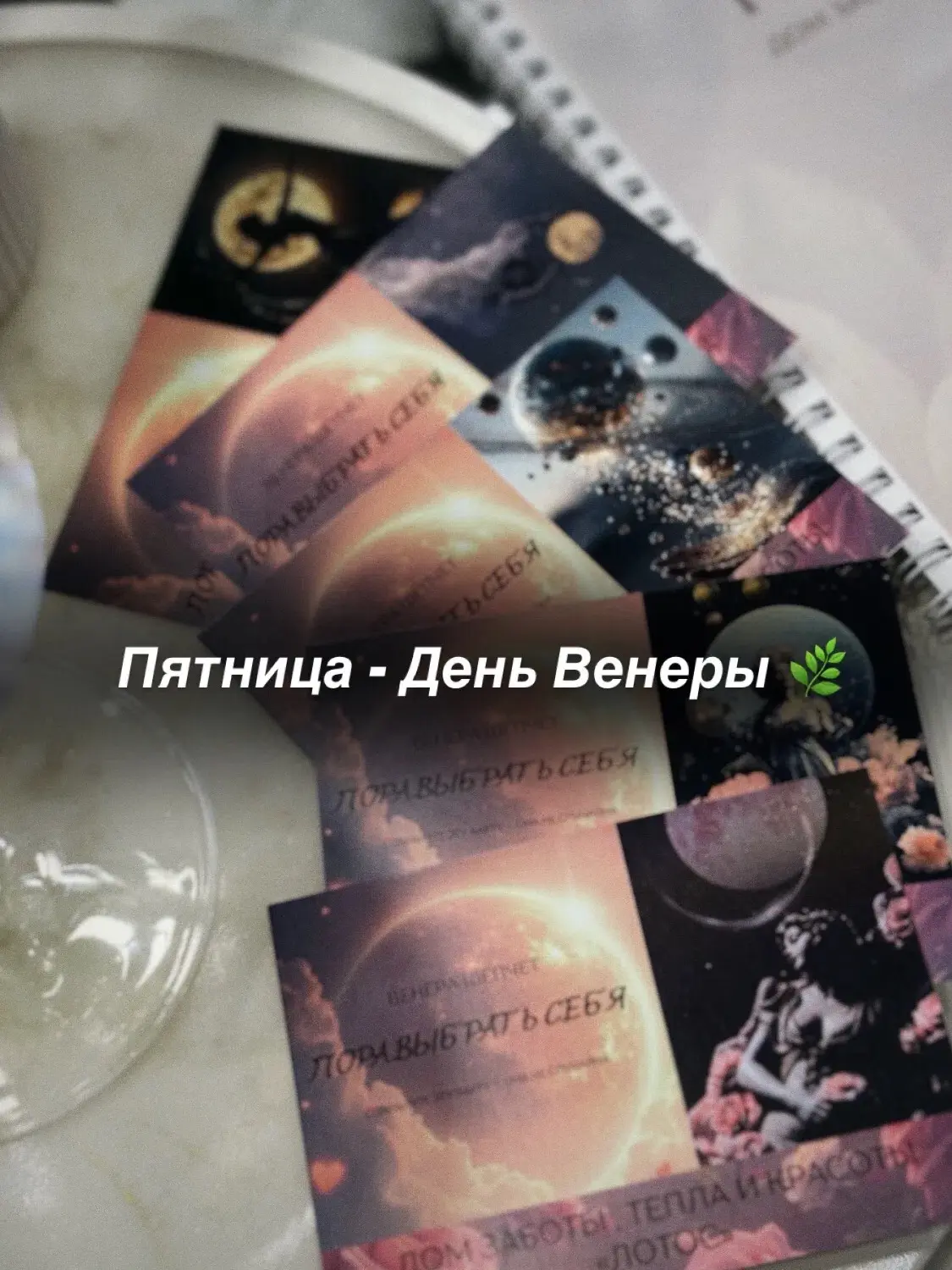 Каждую пятницу мы напоминаем нашим гостям: