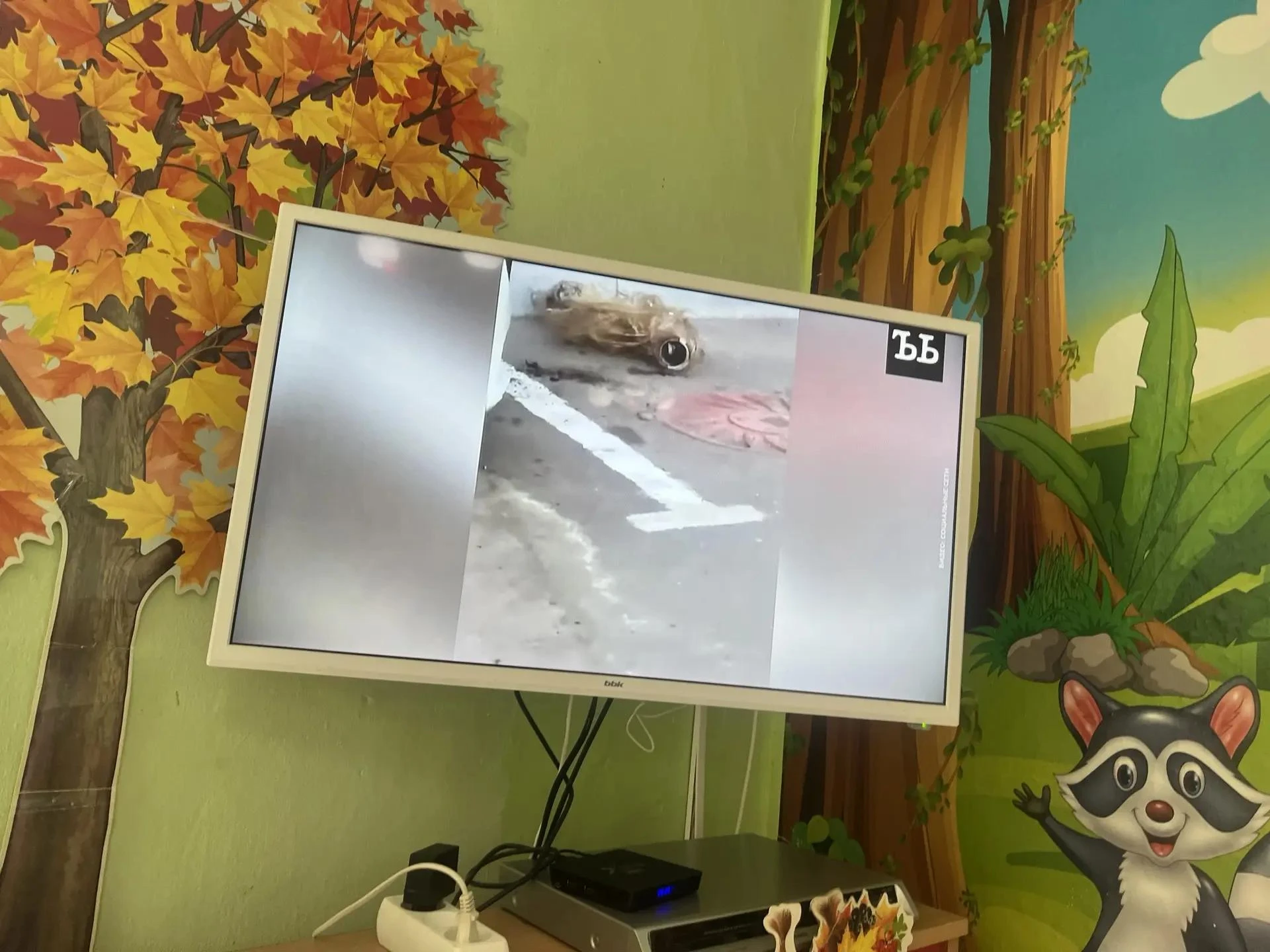 Видео