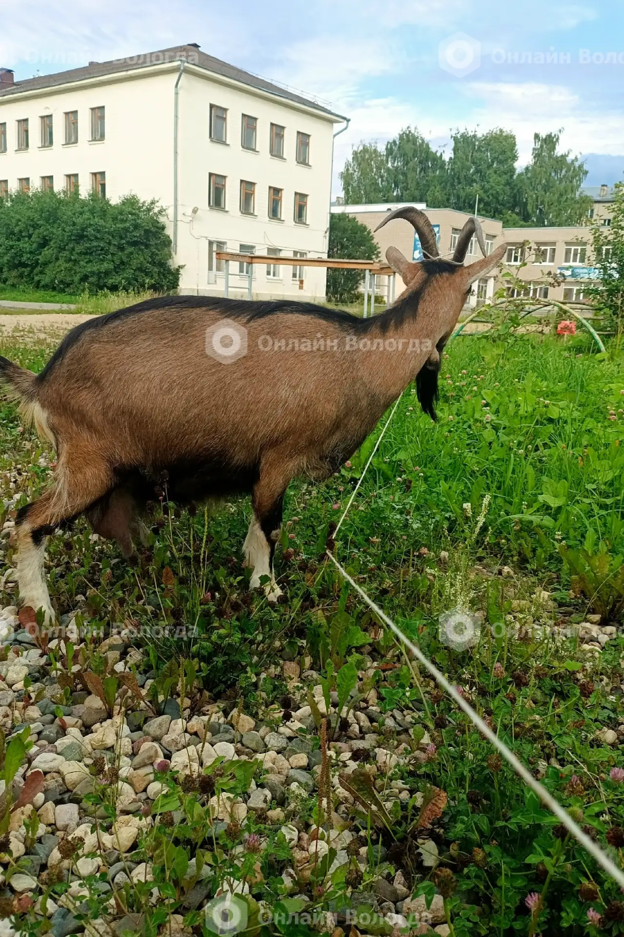 В районе Лукьянова у Школы номер 25