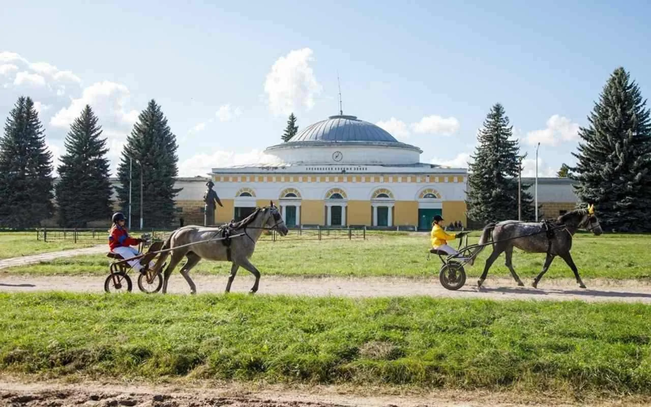 Торжественно отметили 250-летие Хреновского конезавода в Воронежской области