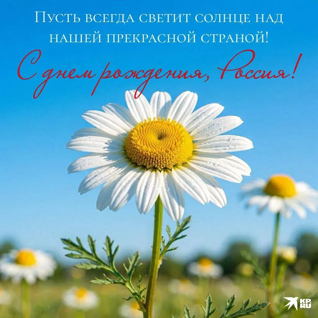 ​🇷🇺 С Днём России! С праздником нашей великой Родины!

​Сегодня мы отмечаем главный праздник нашей