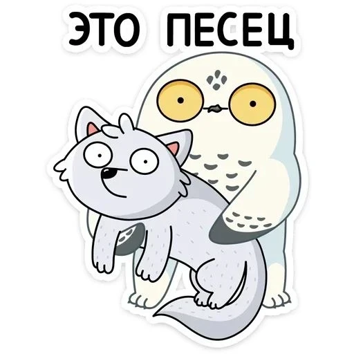 Интересная встреча: полярная сова и...песец.