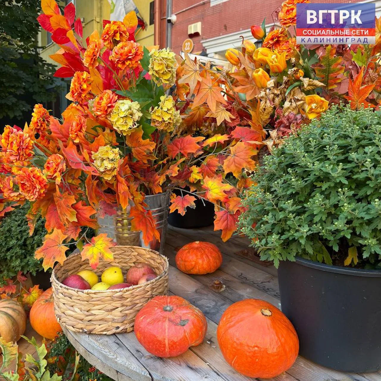 🍁🎃Краски осени