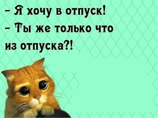 Возвращение в офис — это не только про задачи, но и про людей. После отпуска социальные...