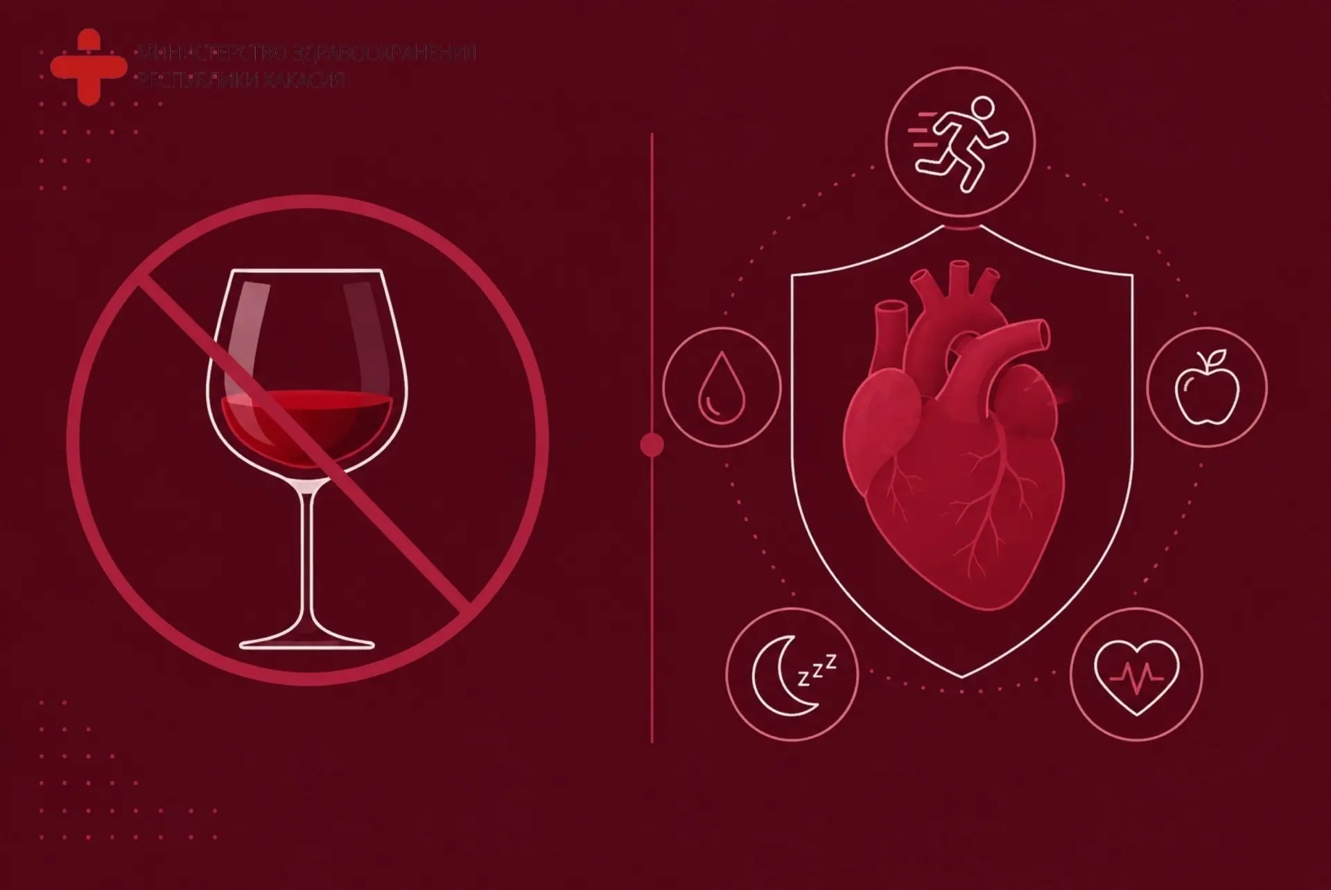 Алкоголь и сердце: миф о «полезном бокале вина» 🍷❤️