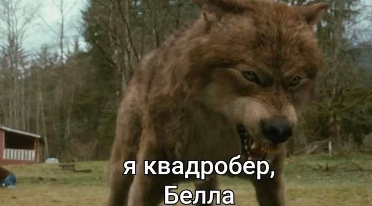 «Сумерки» 2008 года стали самым кассовым фильмом месяца в России.