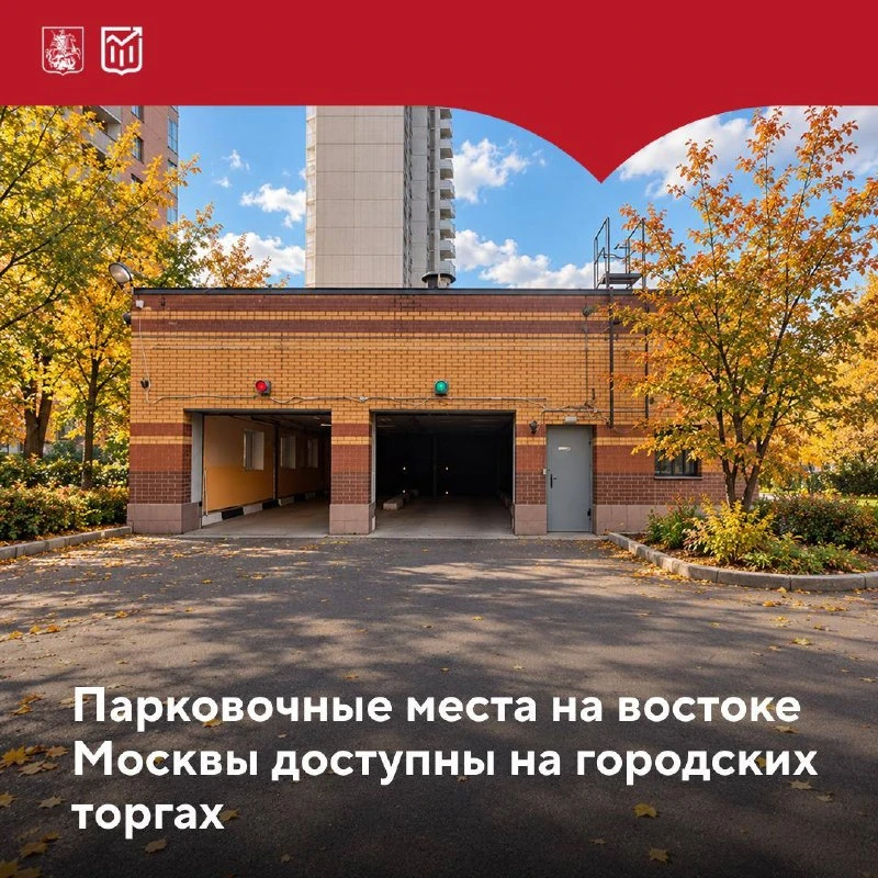 🚘 56 машино-мест выставили на торги