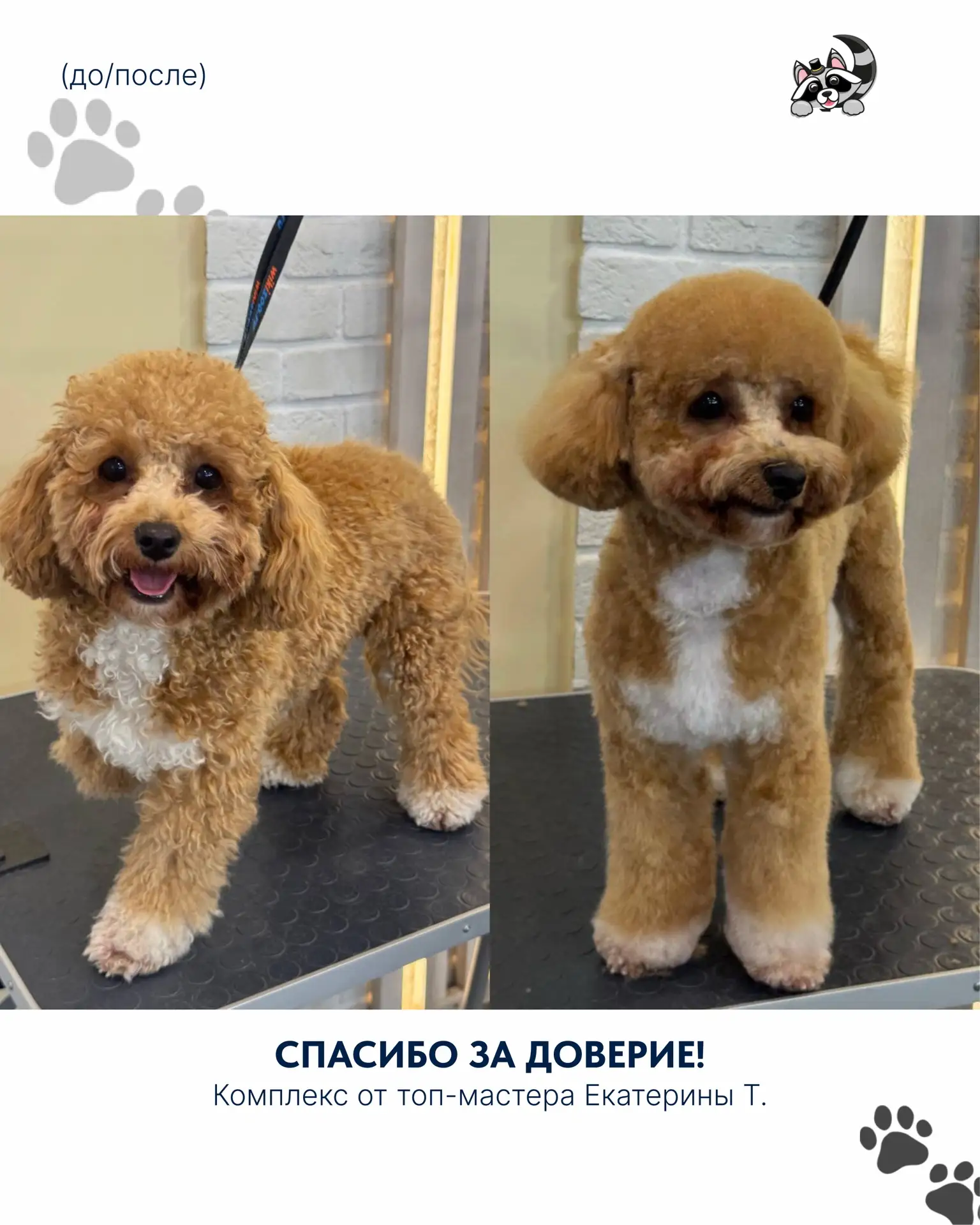 Спасибо, что доверяете нам самое дорогое 🐾