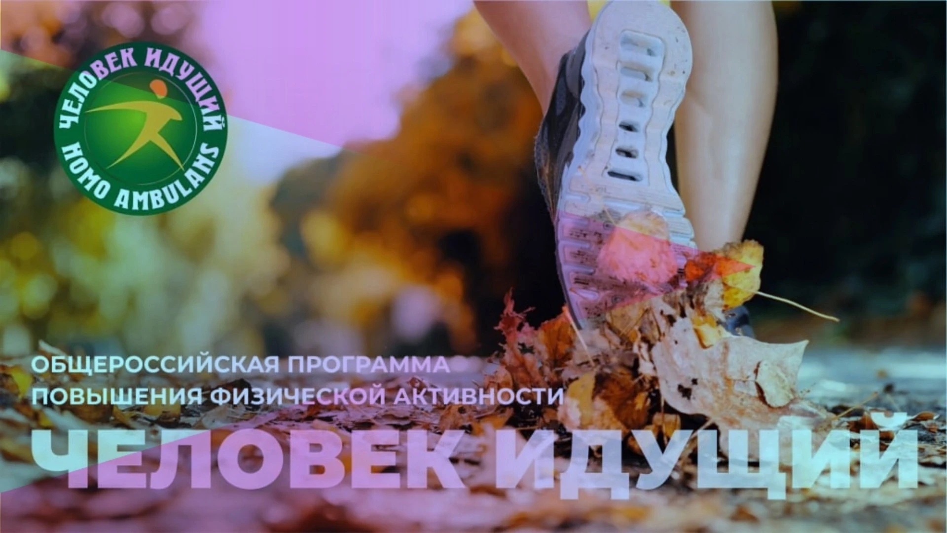 🚶‍♂️Министерство спорта Республики Марий Эл объявляет о старте нового сезона Всероссий...