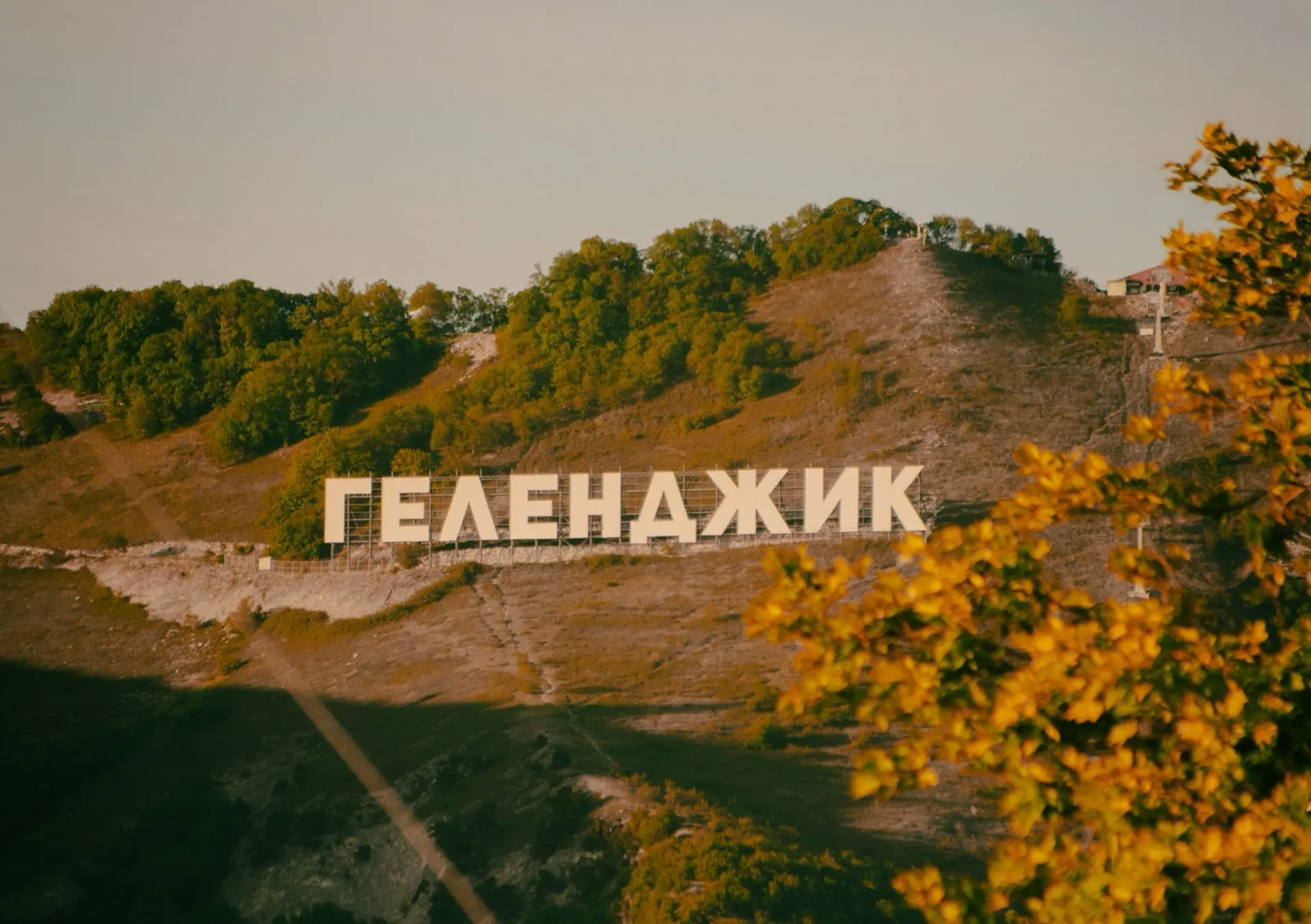☀️ Средняя заполняемость санаториев Геленджика превысила 77%
