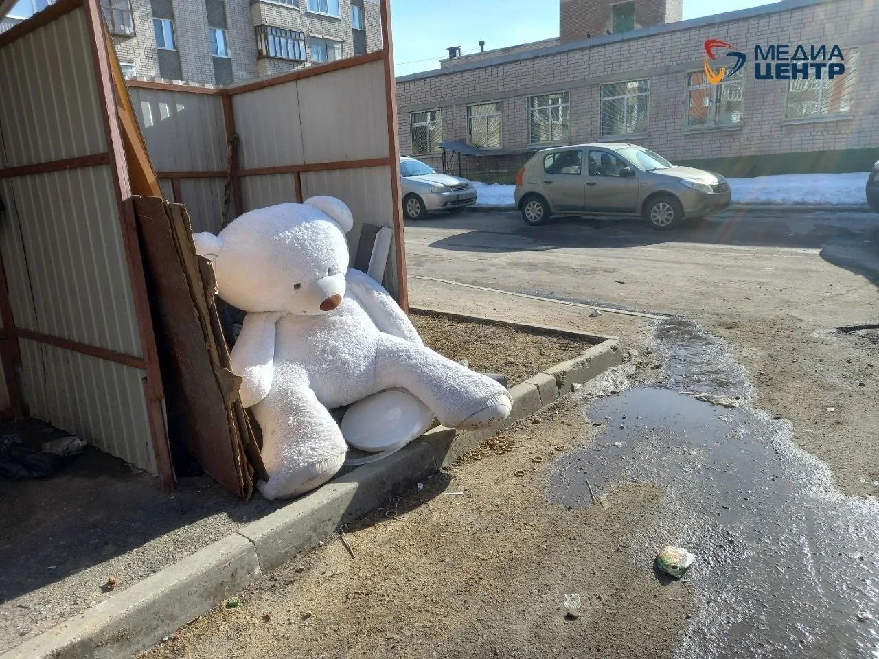 Волонтеры Экоцентра просят горожан поделиться ненужными мягкими игрушками — у них появи...