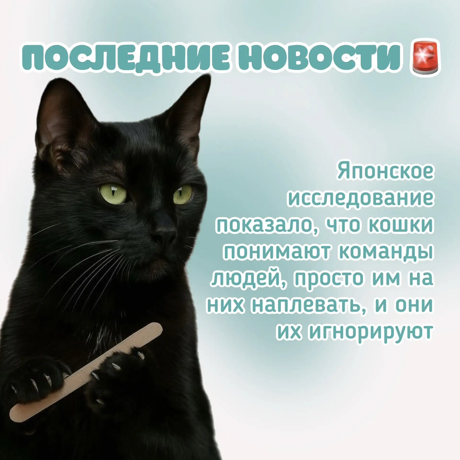 😅😅😅