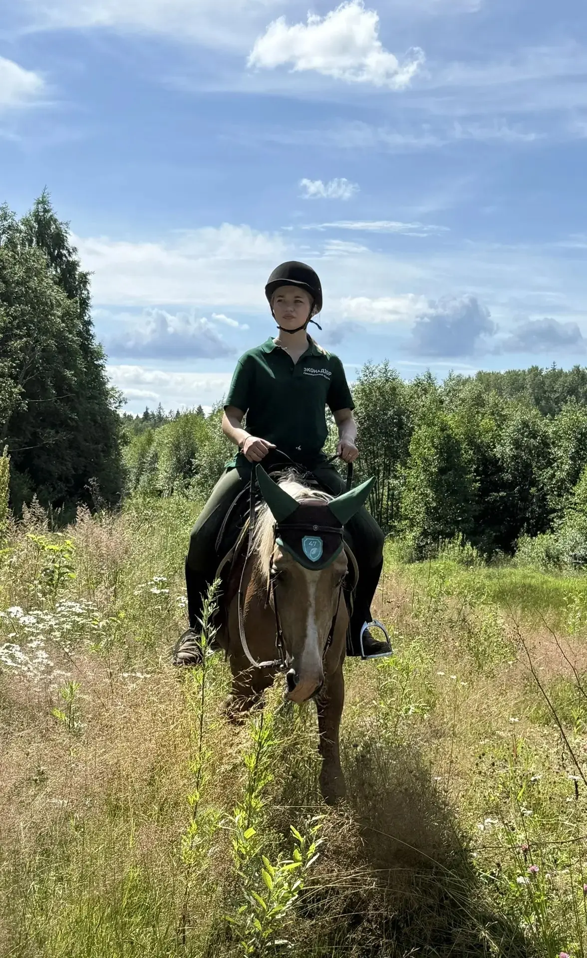 🐴В Ленинградской области на борьбу с нарушениями и нарушителями вышла конная экомилиция.

Конные па