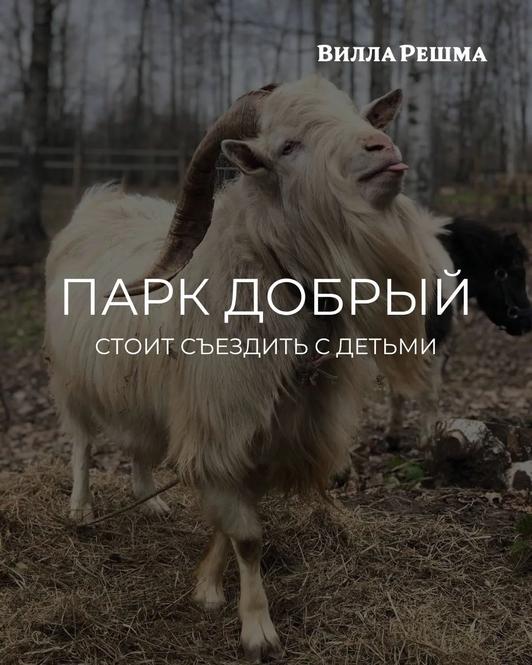 Вот ещё одна отличная идея, куда съездить и что посетить, если вы отдыхаете в Вилла Решма.