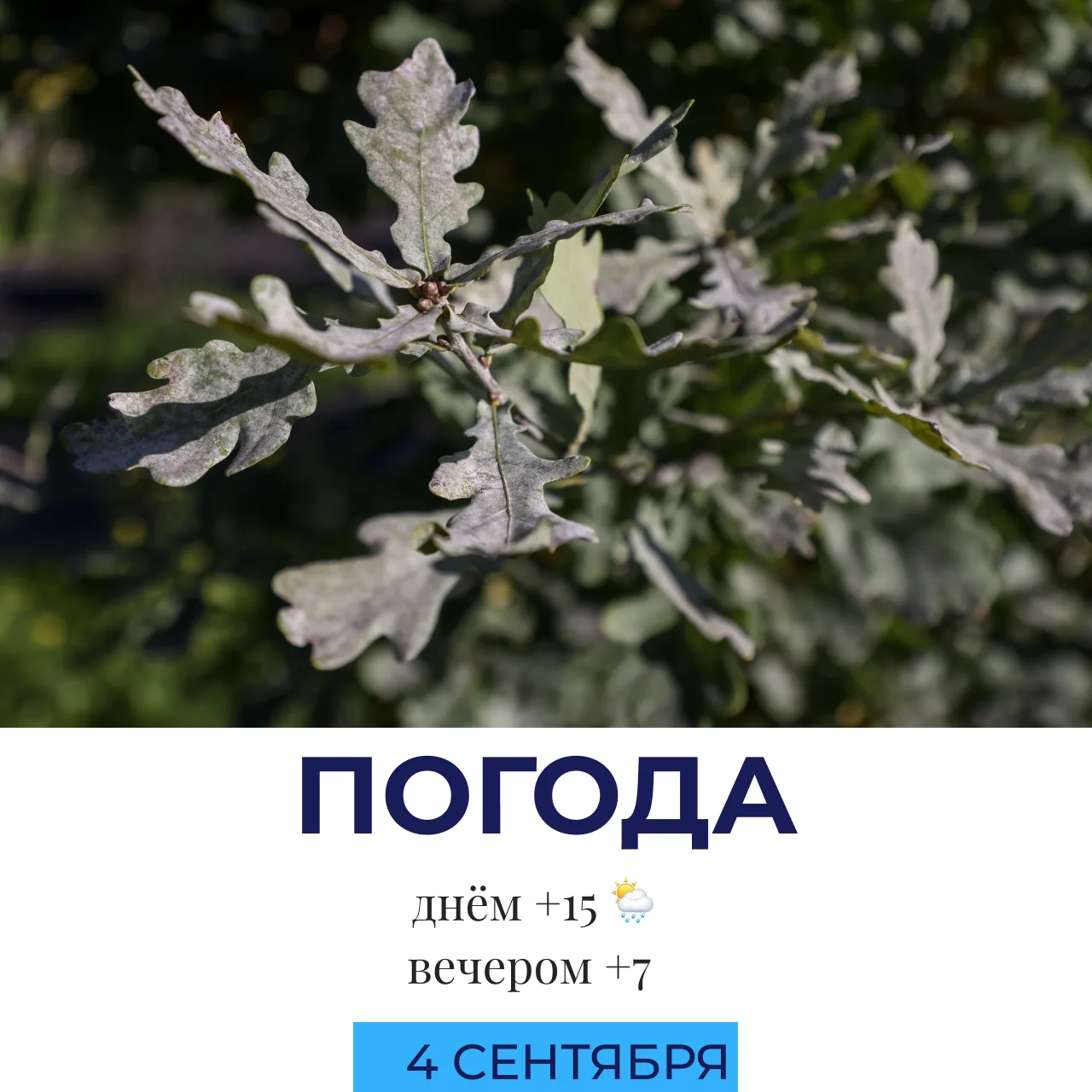 🌦 Погода сегодня