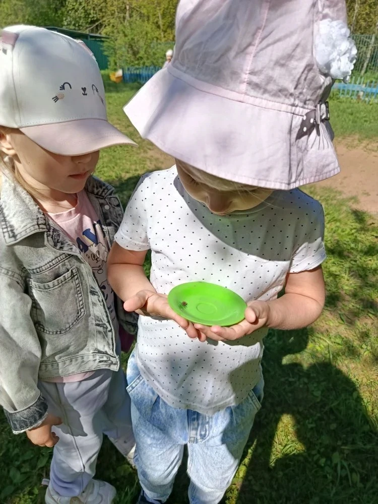 Дошкольное отделение «Сказка»  МБОУ«Софринский образовательный комплекс»  🌞 Прекрасная погода 🌷 Расп