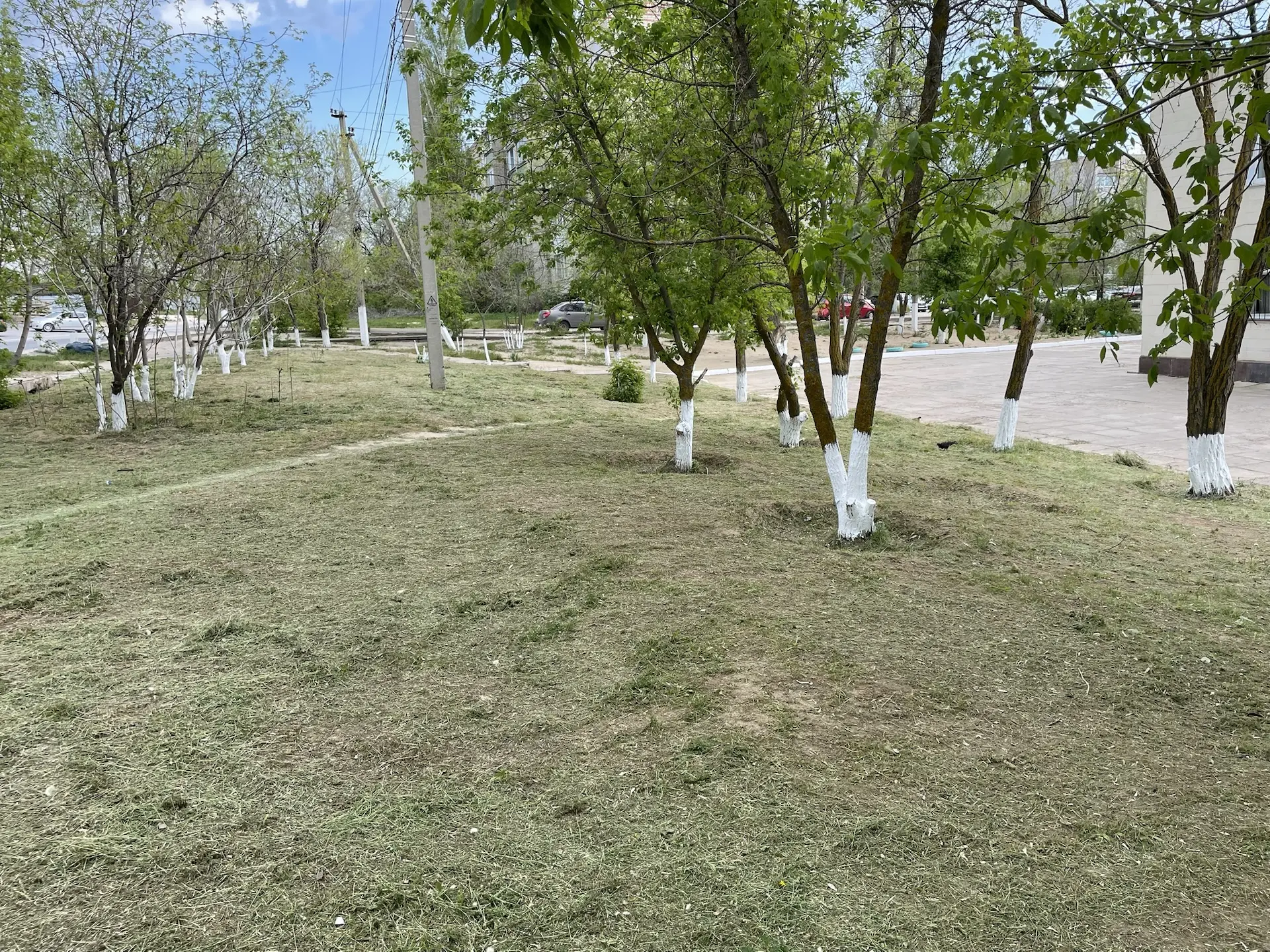 🌳 В преддверии великого праздника Победы члены профсоюза ГДШИ провели субботник возле ...