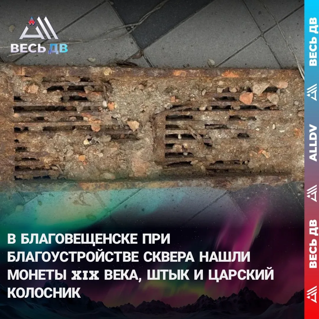 Находки передадут в музей