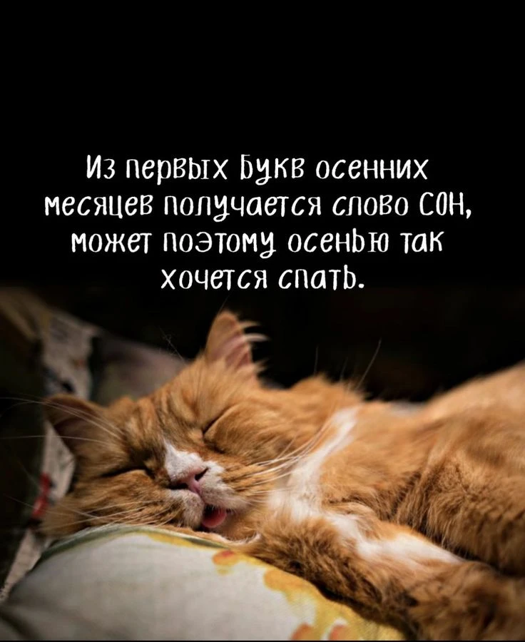 Спокойной ночи ✨