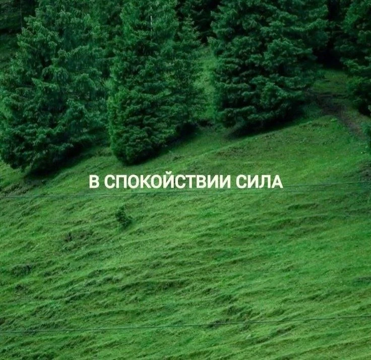В чём сила, брат?