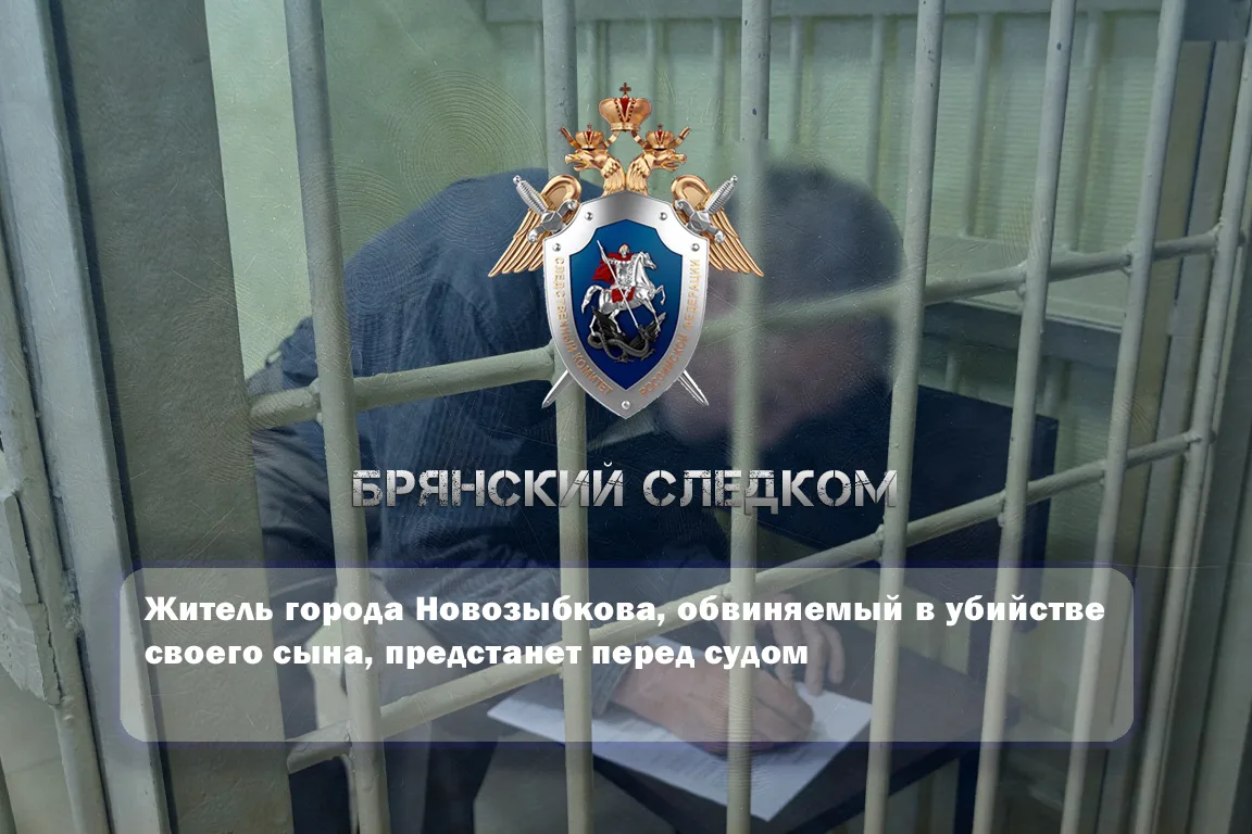 🔪 Житель города Новозыбкова, обвиняемый в убийстве своего сына, предстанет перед судом