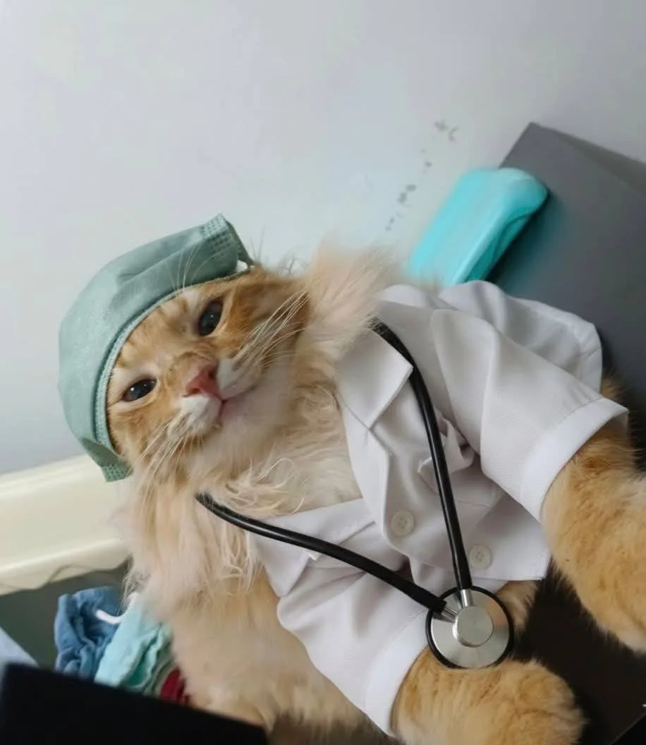 👨‍⚕️Что изменится с 1 сентября для врачей, клиник и пациентов: