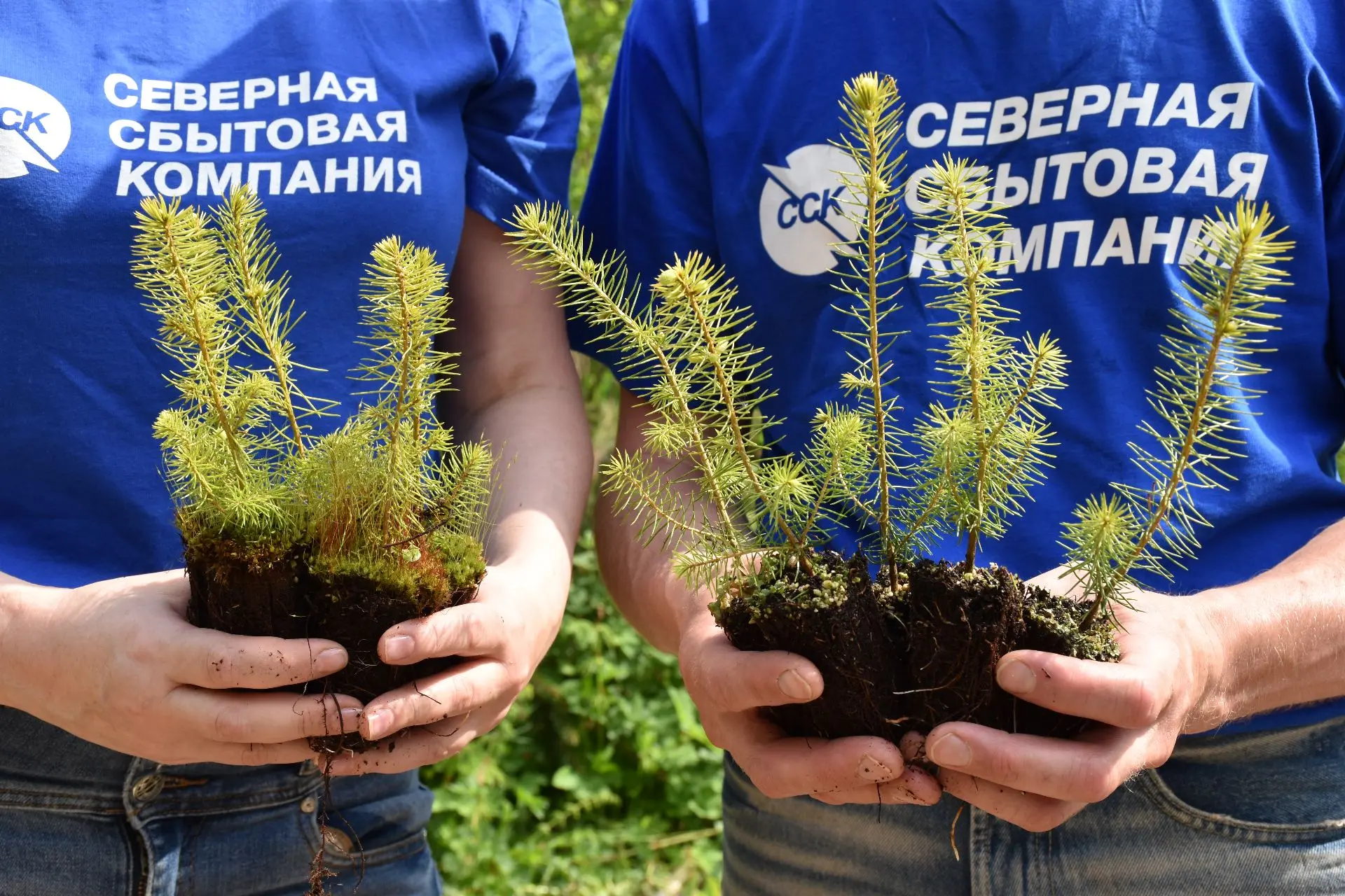 Сотрудники Северной сбытовой компании и Молодежного актива ССК присоединились к весенней международн