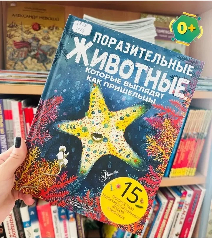 📚 КНИЖНЫЙ СУНДУЧОК
