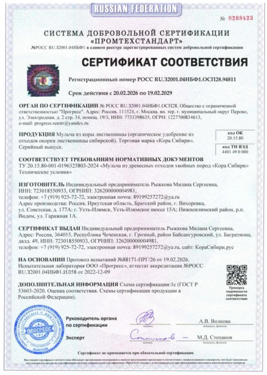 проверить сертификат