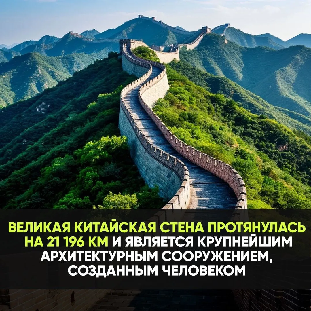 Каждый день новый факт, подпишись!