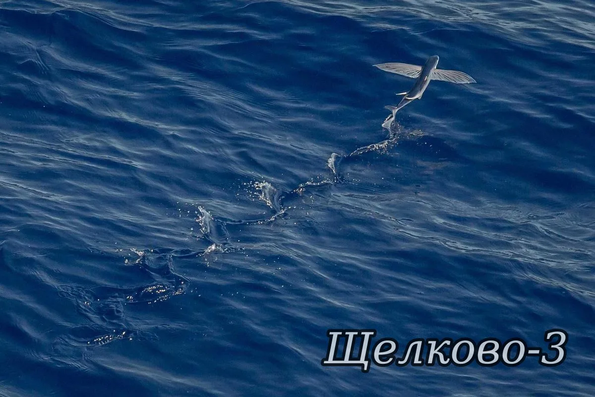 🗓 25.08.2026 года