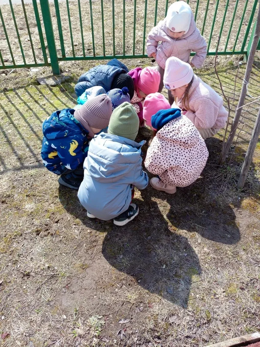 Как интересно наблюдать за живой природой! 🌿