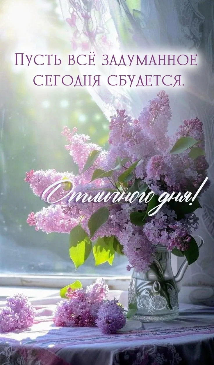 Женские открытки💝