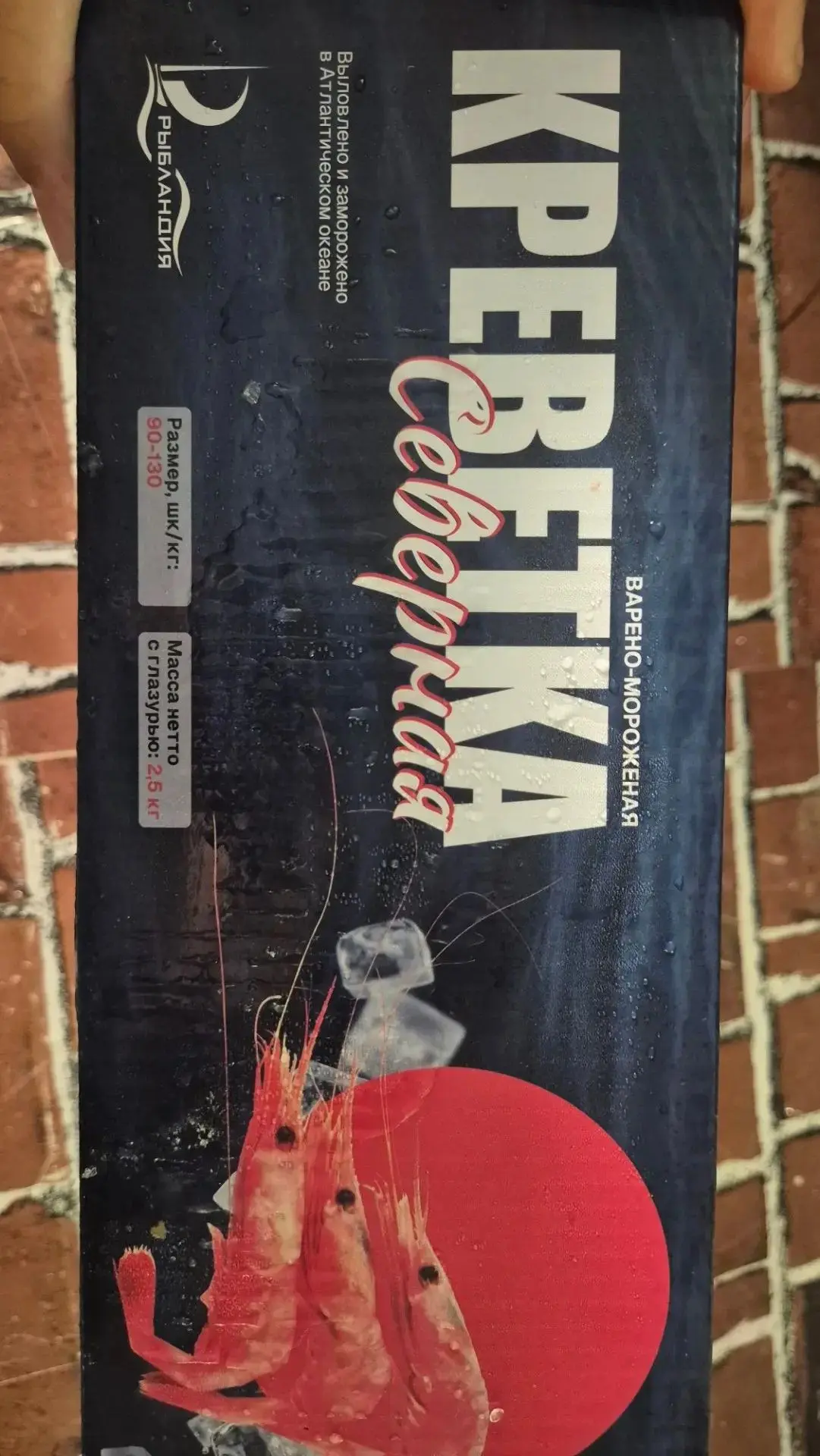 Креветка Северная