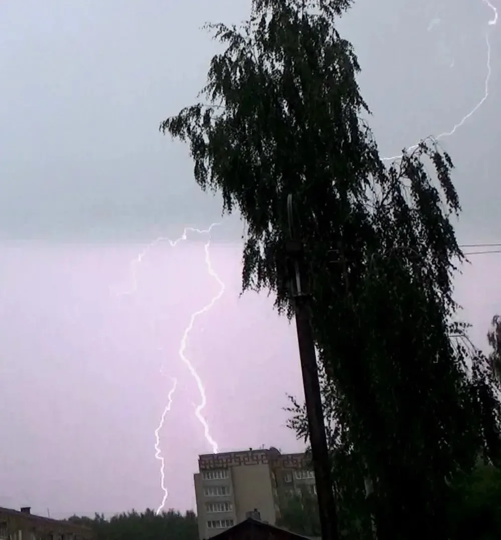 Вязники в свете молний ⚡