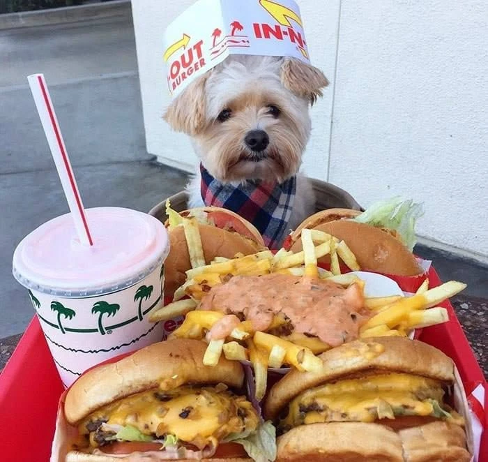 🍔 Сегодня отмечается день рождения гамбургера.

⚡ Первый в тренде!