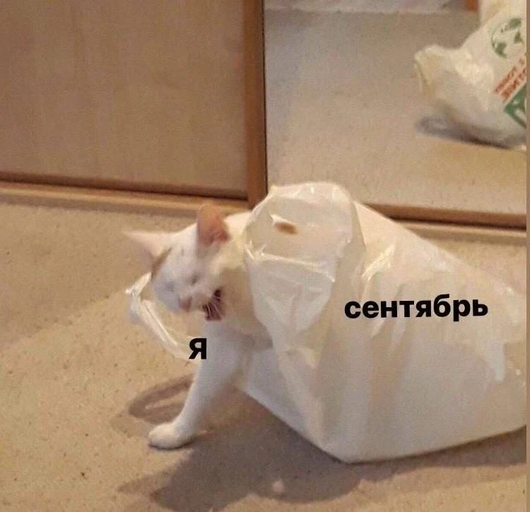 Ну, мы…