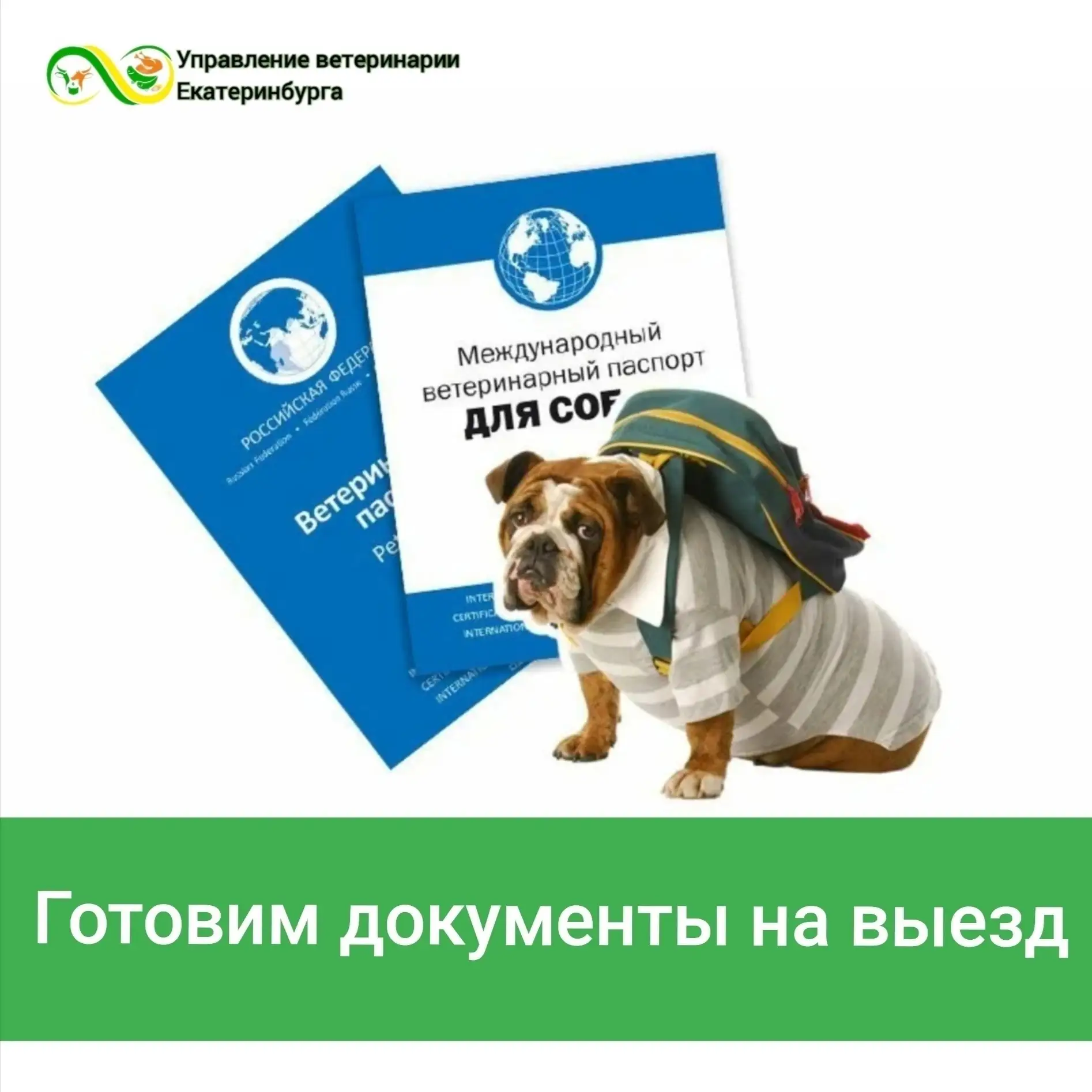🏞Отправляетесь в путешествие по России или за ее пределы вместе со своим питомцем? Тог...