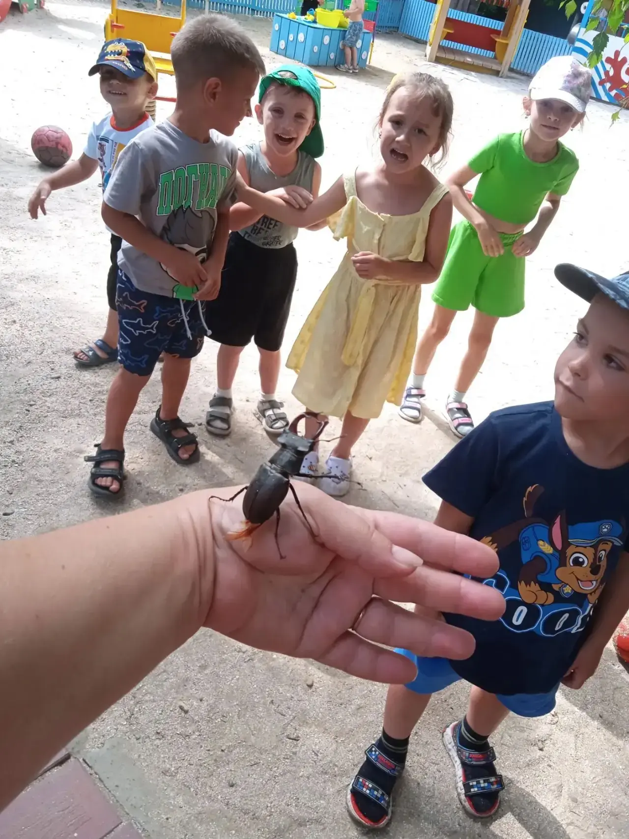 🌞 Прогулка в «Подсолнушках»: наши юные исследователи и жук-олень! 🐞