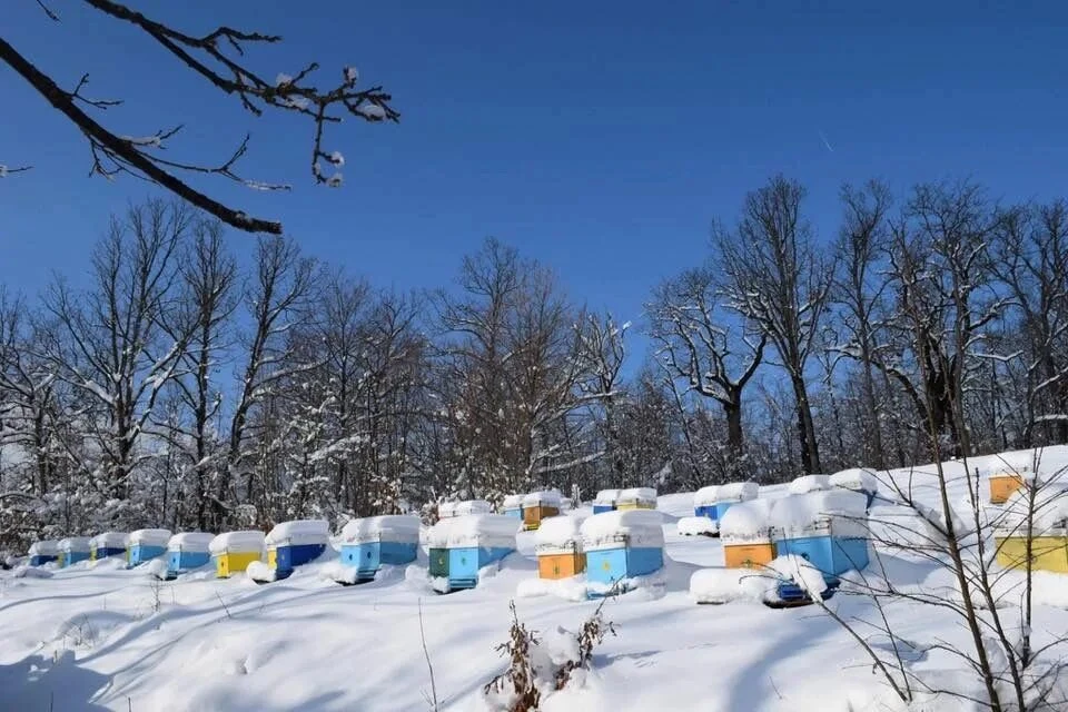 У кого какая погода и где территориально находитесь?